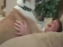 Fucking animal sex