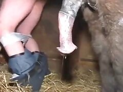 Mature bestiality sex