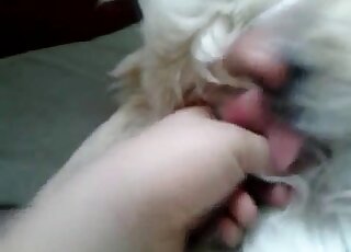 Closeup fisting and passionate fingering with a sexy white beast