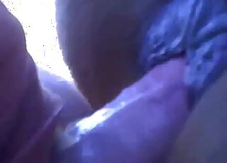 Mare pussy gets wetter as soon as this dude decides to enter it