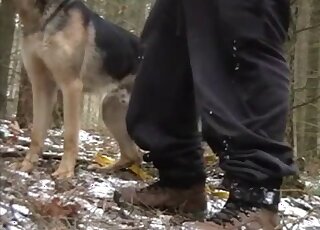 Woods fuck scene showing a guy that wants to fuck a dog outdoor