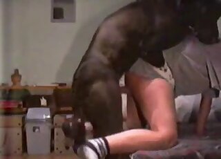 Incredible doggystyle fuck scene with a black beast and a zoophile