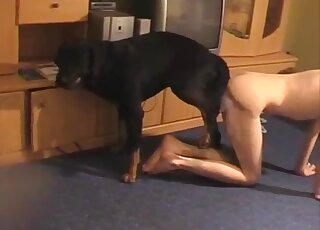 Guy's sensitive asshole is getting fucked by a red dicked animal