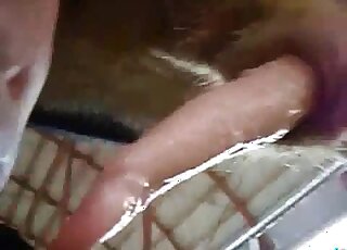 Guy happily kisses all over this animal's cock in a farm porn video