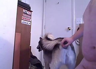 Dog's tight anal hole getting fucked by a dildo in a kinky porn video