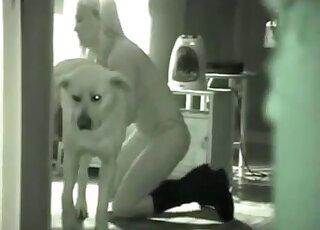Terrific blowjob and fuck movie with a blonde that loves dogs