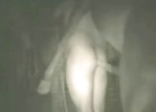 Huge horse cock is going to destroy this zoophile's tight asshole