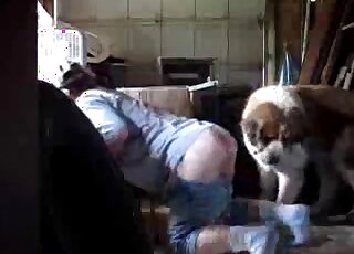 Dude in pulled down shorts lets this brown dog fuck his asshole