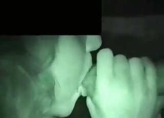 Appealing lady with long hair jerking a stallion's cock in the dark