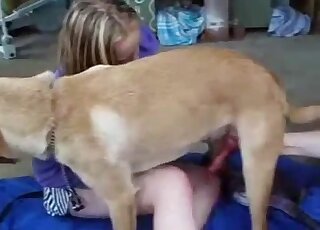 Purple get-up babe lets his animal fuck her pink hole on all fours