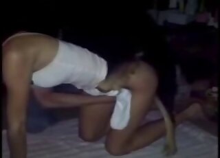 Amateur girl is filmed while getting vigorously banged by a pet dog