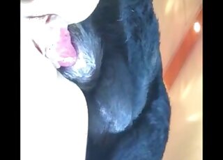 Brunette girl lured black Labrador into banging in the blink of an eye