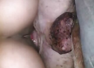 Lazy dog lets horny chick ride him cowgirl style until orgasm