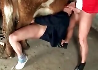 Zoophile slut gets fucked by a bull, while her boyfriend fucks her mouth