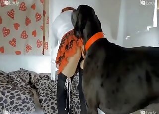 Masked ginger chick gets sexually dominated by huge black dog
