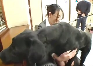 Nerdy Asian lady gets face licked by a couple of randy Labradors