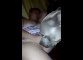 Curvy lady with a colossal ass lets this animal eat her booty on cam