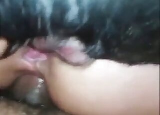 Double penetration movie with a tiny dog cock fucking her ass