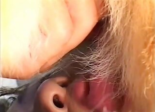 Throating session with a dog that prefers fucking Japanese bitches