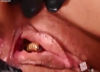 Brutal zoophilia shows amateur playing obedient with worms in her cunt