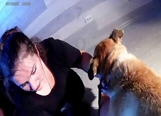 Hot dog porn on cam shows naked amateur trying new perversions