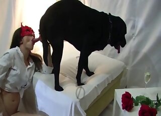 Superb amateur with mask on tries heavy dog dick the hard way