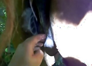 Aroused male fist fucks horse's succulent vagina in closeup scenes