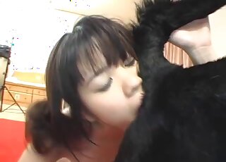 Japanese teen filmed ass licking the dog after a good fuck