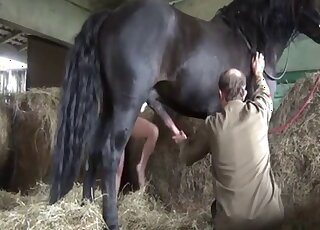 Busty amateur woman tries merciless horse dick in both love holes