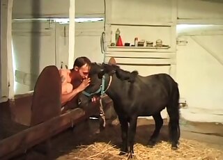 Zoophile plays with a dildo and seduces horse to fuck his tight ass
