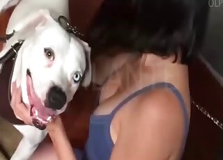 Brunette in blue is actively enjoying zoophilic handjobs and more