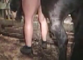 Aroused horse starts fucking chubby zoophile bitch inside stables