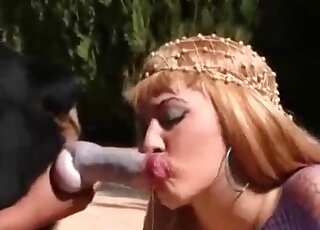 Two zoophile sluts gladly suck dog's schlong in a kinky XXX oral session