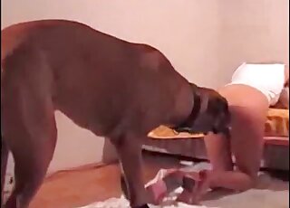 Big doggie stuffs its hard cock deep inside wet cunt of a zoophile babe