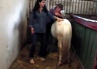 Seemingly timid lady in blue starts tugging on a horse cock here