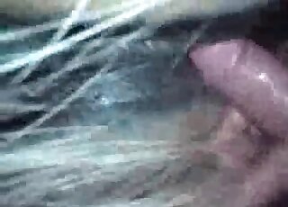 Closeup pron movie showing a guy inserting his massive cock inside