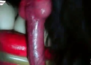 Black dog with a red penis gets really freaky with a wet-pussied gal