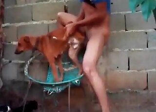 Nasty dude bangs a small dog in a breathtaking zoophilia action