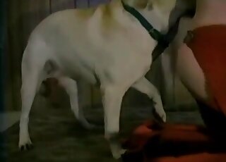 Hottie gets canine’s long cock in her neatly shaved wet twat