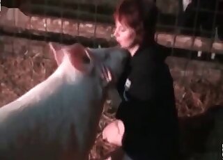 Boar explores soaking snatch of a crazy wife and is going to fuck her