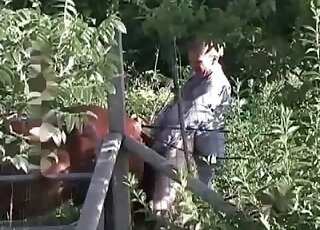 Dirty-minded pervert fucks a horse in a crazy XXX animal porn video