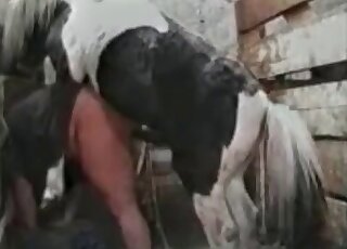 Stallion smashes hot twat of a dirty-minded female pervert from behind