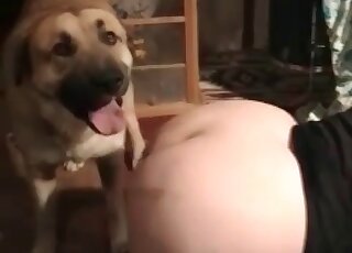 Zoophile vixen enjoys nasty copulation with a canine in a doggystyle