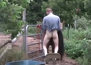 Perverted male bangs a horse really rough in a beastiality porn scene