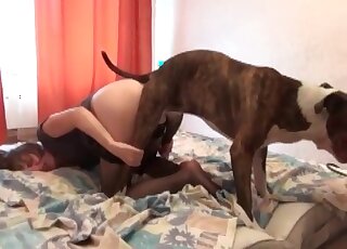 Shaved pussy and anal of a horny slut wait for a canine’s dong