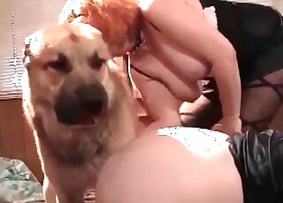 Plump mature slut gets her fat pussy fucked ardently by her pet dog