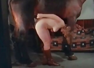 Crazy mature goes wild with a stallion’s cock and wanks it insanely