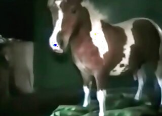 Mature zoophile female slut cannot get enough of pony’s big cock