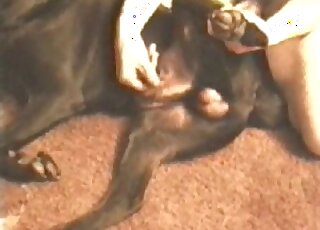 Pervert drills tight pussy of his dog without getting exhausted