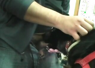 Zoophile spoils his dog by fucking its mouth rough in a zoo porn scene